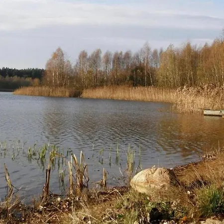 Domek Nad Jeziorem W Puszczy Zielonka Kaminsko Exterior photo